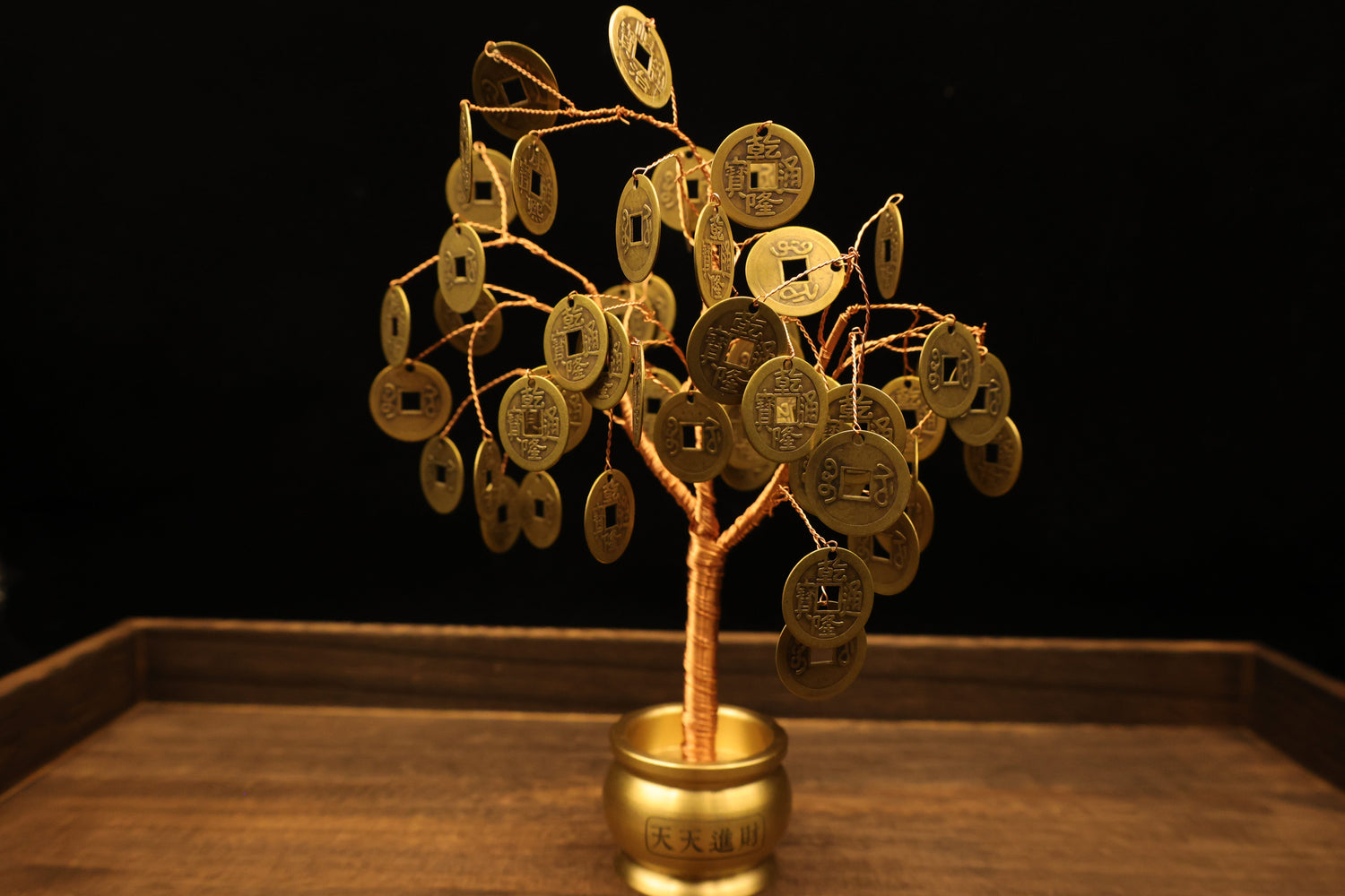 New arrivals ! Tree of money : Feng Shui Antique Money Tree